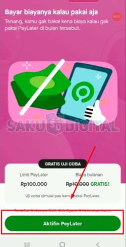 3 Klik Saya Setuju Buat Aktifkan Paylater