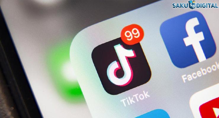 Apa Itu TikTok Lite