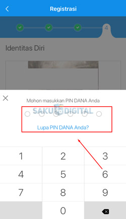 9 Input PIN DANA