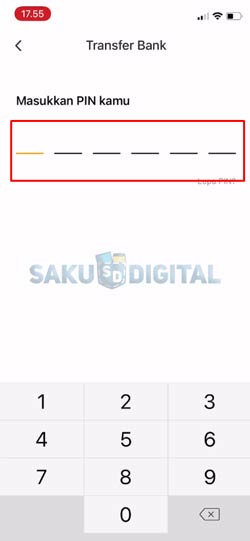 10 Input PIN NeoBank