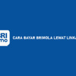 Cara Bayar Brimola Lewat LinkAja